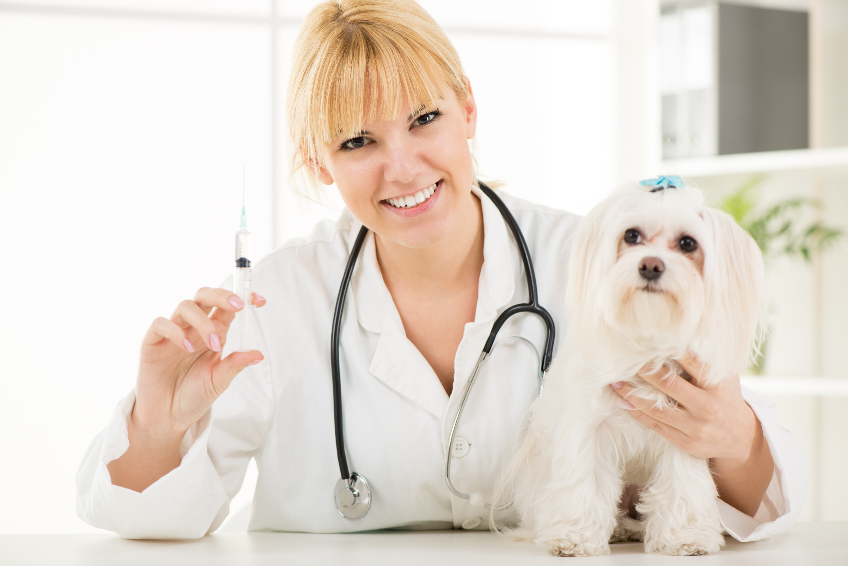 vet vaccination clinic